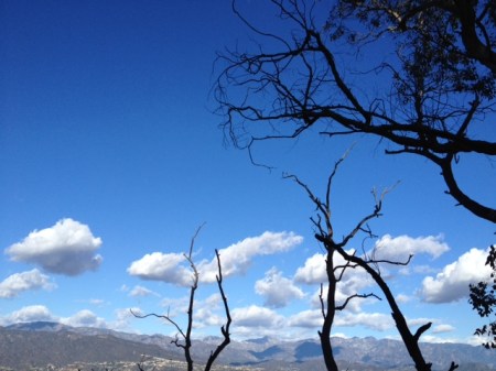 burnedtreeswithclouds