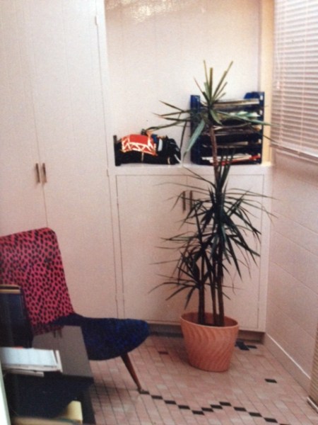 Fake fur chair by a Los Angeles designer named Harry. Back in those days, I worked in Hollywood and supported only me, so I had money for such things.