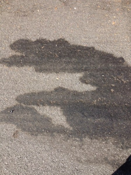 oilspillRorschach