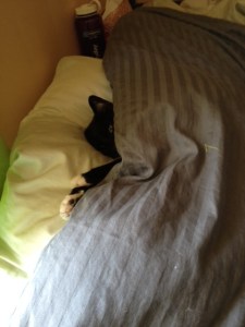 PIllow and comforter enhance the nap experience.