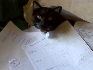 There. All arranged.