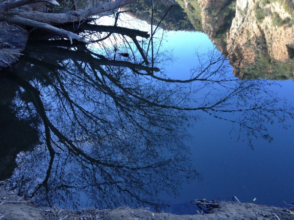 Another pond's-eye view