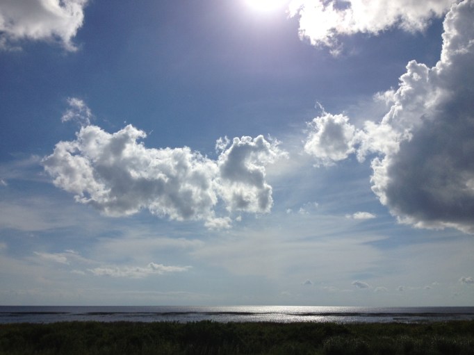 Florida has a lot of sky.