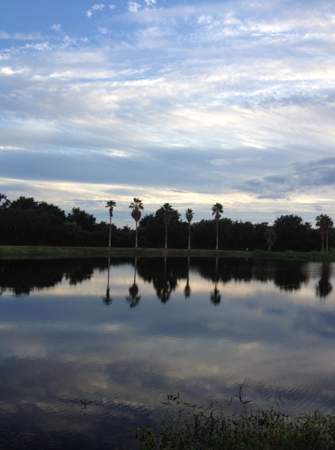 Horizon-tal symmetry.