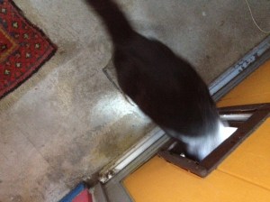 The others don't even know the door is open, yet.