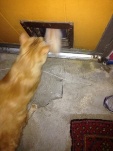 Didn't we just do this yesterday?