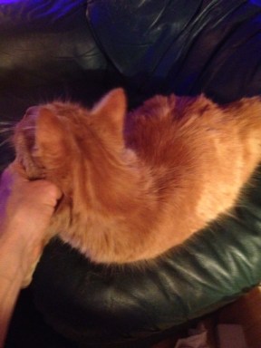 I'm leaning my whole body into it.