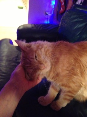 Oh yeah. That's the spot.