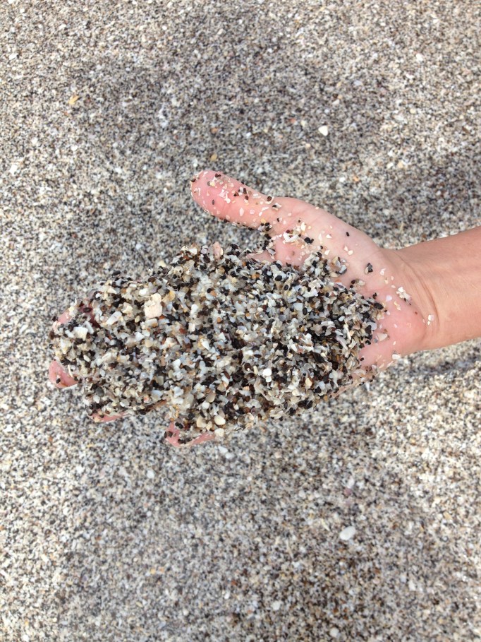 Sometimes a tooth sits on the surface in an obvious manner but usually you will need to sift the shells, a handful at a time.