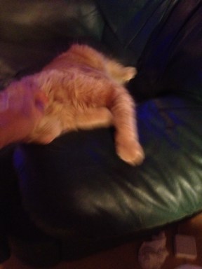 And I'm... slipping away. Oops.