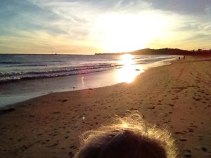 Careful, it's alive!