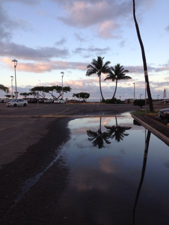 Hawaiianpuddle