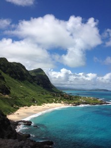 HawaiiFarSide2014-03-14 13.11.44