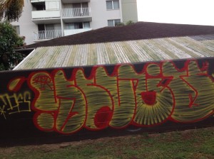 HawaiiGraffiti12014-03-13 06.50.46