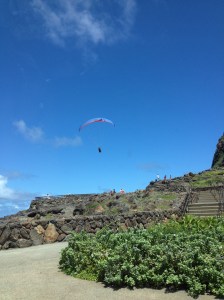 HawaiiHangGlider2014-03-14 13.18.34