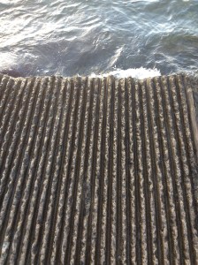 HawaiiJetty2014-03-11 07.19.39