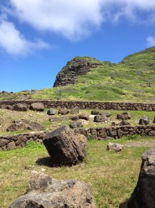 HawaiiLookoutPoint2014-03-14 13.09.10