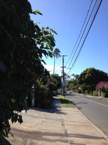 HawaiiNeighborhood2014-03-14 09.34.46
