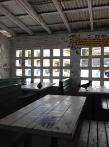 HawaiiPigeonsScripture2014-03-14 13.34.27