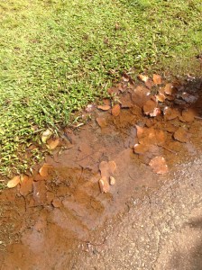 HawaiiRustWater2014-03-09 14.15.14