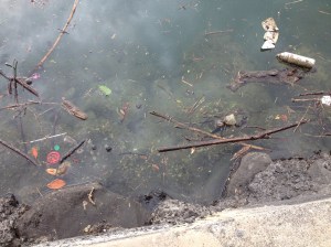 HawaiiTrashWater2014-03-14 15.38.06