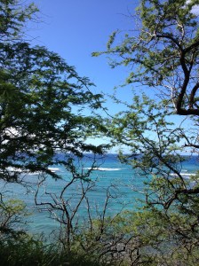 HawaiiWalk2014-03-14 09.54.00