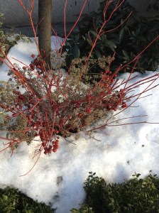 NYCSnowUpperEastSide