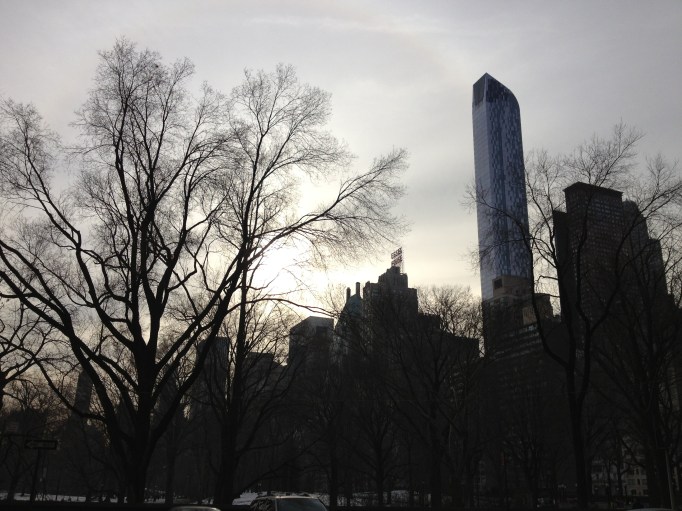 NYCTreesBldgSunJanuary