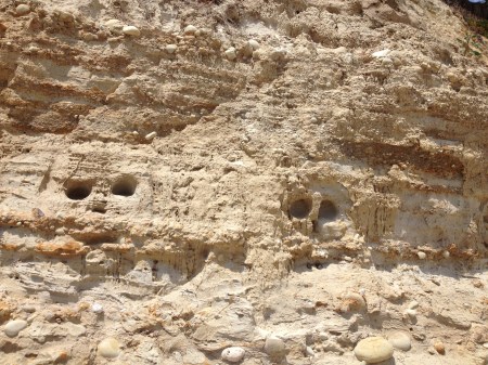 You step closer and confirm. Yup. Faces.