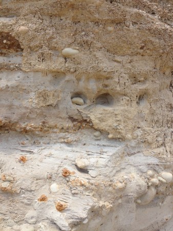 What does this tell you about how the faces formed? Is this rock emerging after erosion? Or did Mom call Junior to come along, before he finished digging this one out?