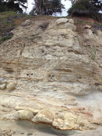 Walking along your favorite beach, you pause and think, "Gee, almost looks like there are faces in that cliff. Never noticed them before."